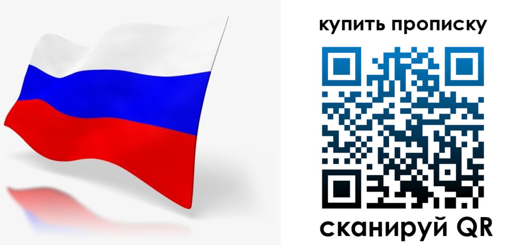 временная регистрация гарантия в Опочке